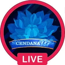 cendana777 APK: Fitur, Ukuran, dan Link Download